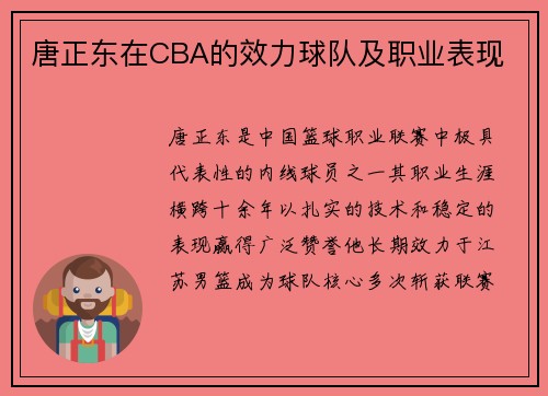 唐正东在CBA的效力球队及职业表现
